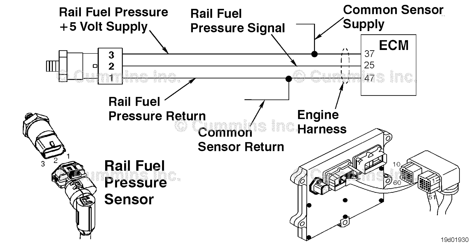 P0286 Fault Code Cylinder 9 Injector Circuit High Auto Parts